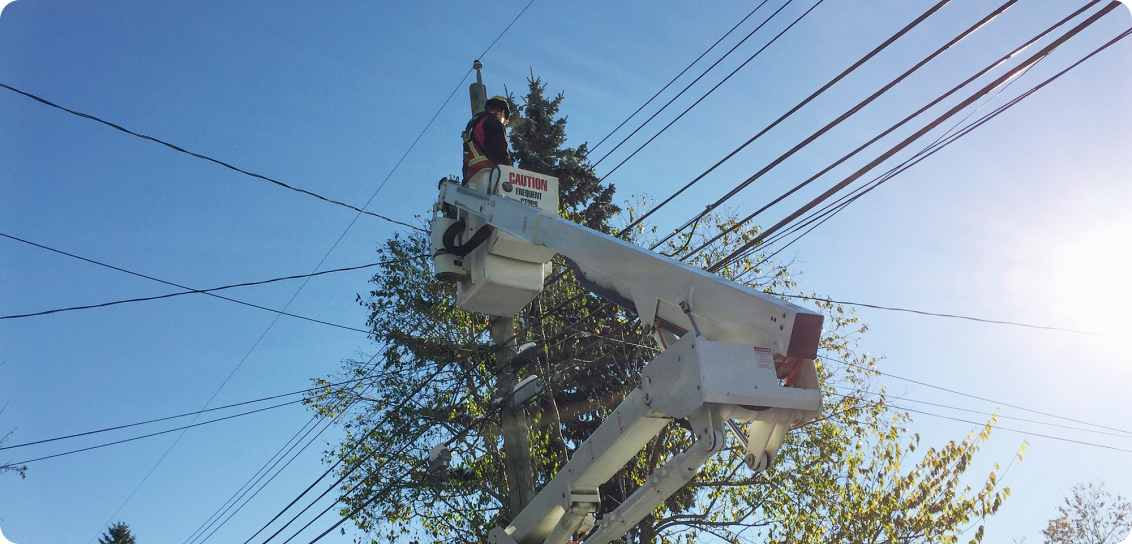 Trees and power lines