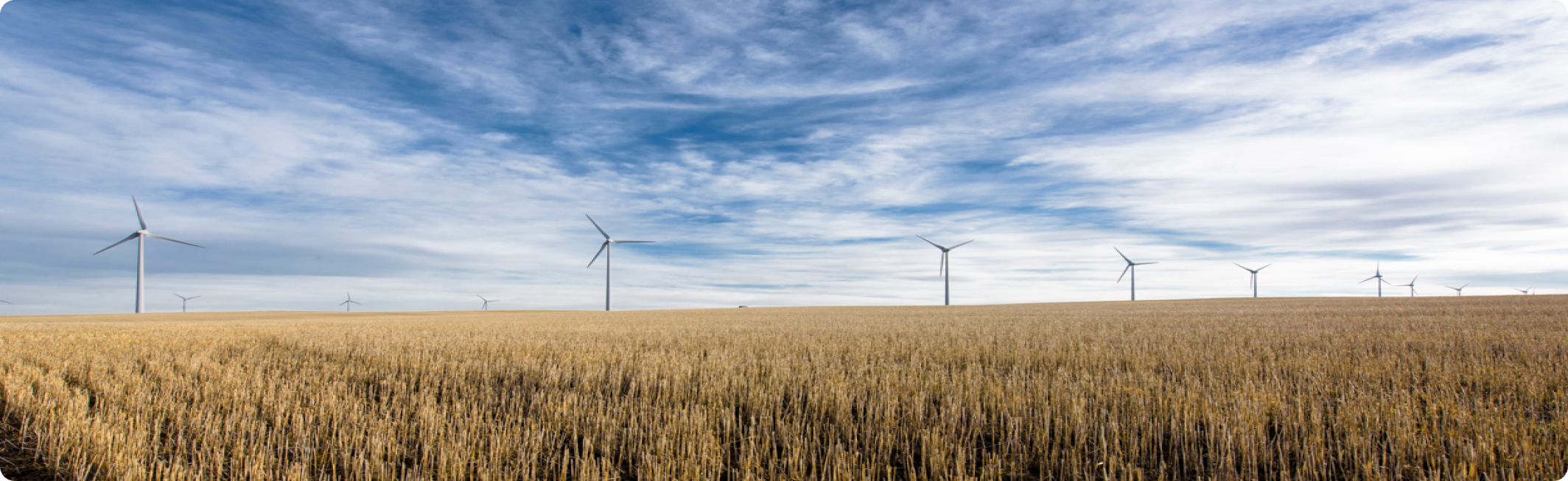 Taber_Wind_Farm_desktop.png