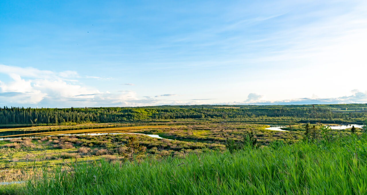 Land Acknowledgement