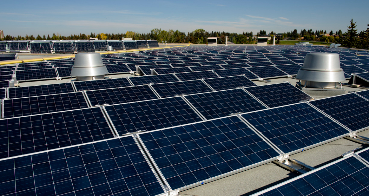 Calgary's largest solar electricity system