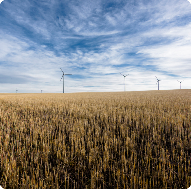 Taber_Wind_Farm_mobile.png